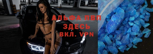 гидра Белокуриха